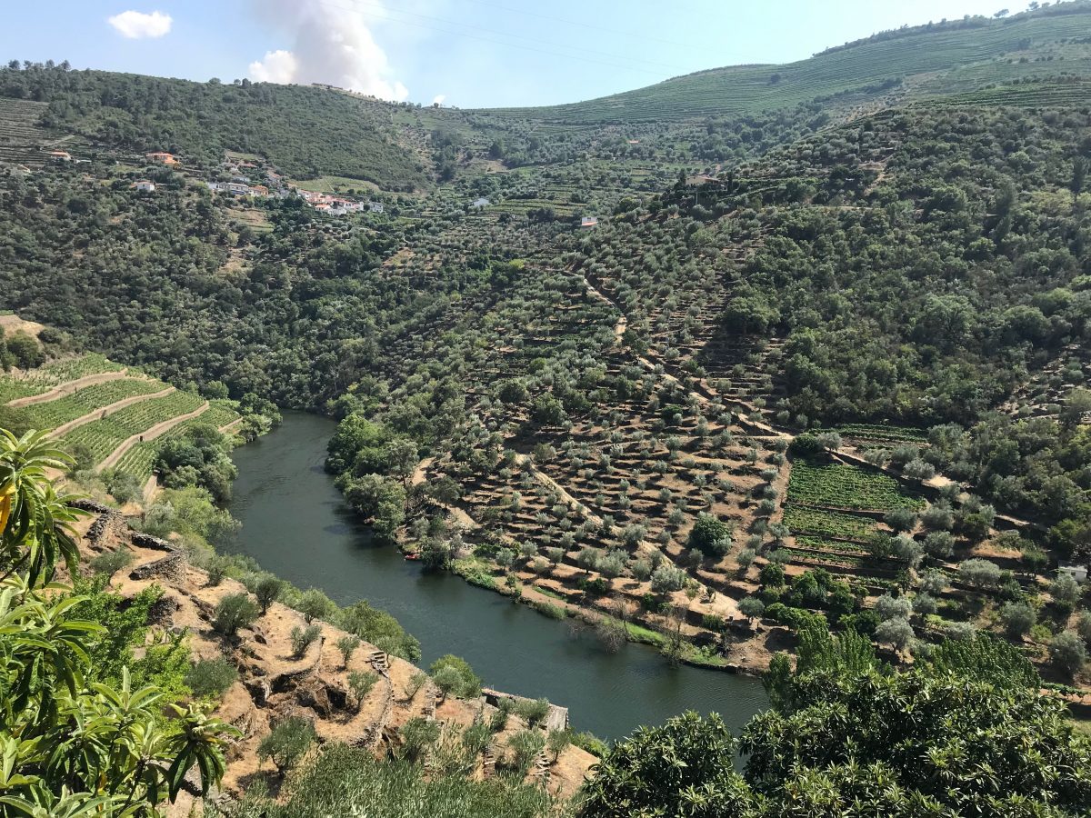 Vineyards on the Douro, where Portugal makes port wine | Photo: Judi Cuervo