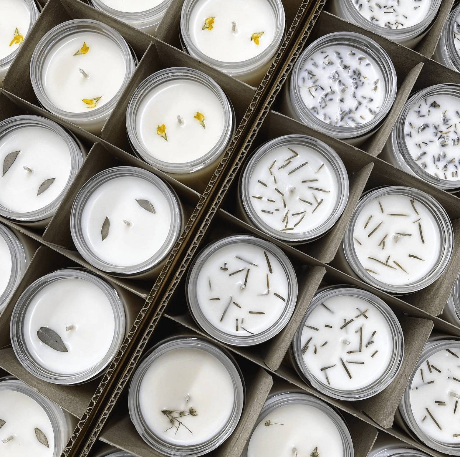 Porthole 251 - diagonal grid of herb-infused white candles from Queer Candle Co.